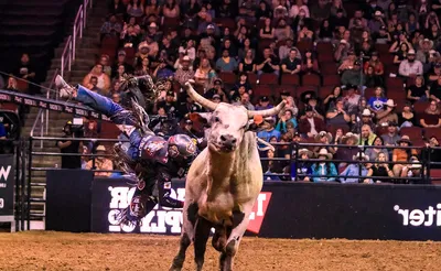 PBR: Canada Cup Series
