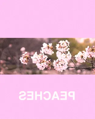 Peaches