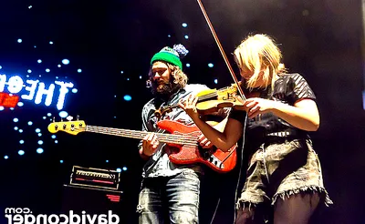 The Head and The Heart