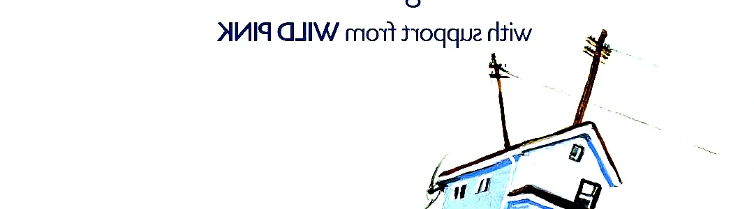 The New Pornographers