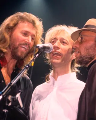 The Ultimate Tribute to The Bee Gees
