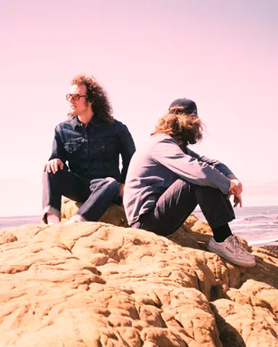 Triptides