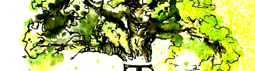 Tuck Everlasting