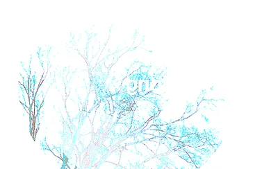 Wintersleep
