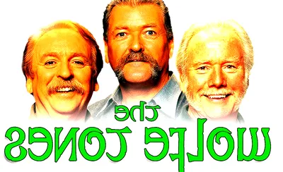 Wolfe Tones