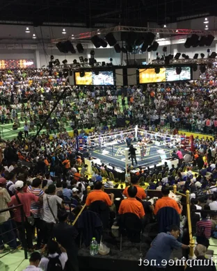 Noboundaryfight XXXI